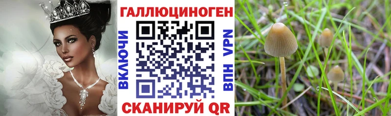 Галлюциногенные грибы ЛСД  Купить  Поворино 